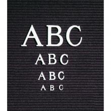 The grooved black letter board shown with the ABC's posted on it.